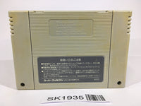 SK1935 F Zero SNES Super Famicom Japan