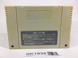 SK1935 F Zero SNES Super Famicom Japan