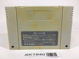 SK1940 Sougou Kakutougi Astral Bout 2 SNES Super Famicom Japan