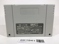 SK1941 Shin Nippon Pro Wrestling SNES Super Famicom Japan
