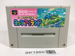 SK1950 Super Mario World 2 Yoshi's Island SNES Super Famicom Japan