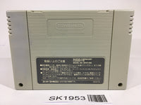 SK1953 Super Donkey Kong Country SNES Super Famicom Japan