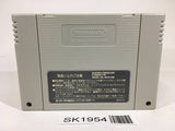 SK1954 Super Donkey Kong Country SNES Super Famicom Japan