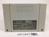 SK1957 Super Donkey Kong Country 2 SNES Super Famicom Japan
