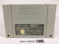 SK1960 Super Street Fighter II 2 SNES Super Famicom Japan