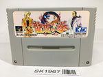 SK1967 Art Of Fighting SNES Super Famicom Japan
