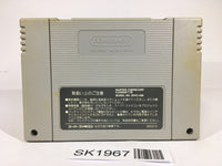 SK1967 Art Of Fighting SNES Super Famicom Japan