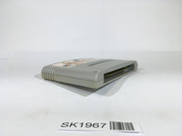 SK1967 Art Of Fighting SNES Super Famicom Japan