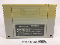 SK1992 Dragon Quest VI 6 SNES Super Famicom Japan