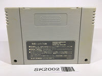 SK2002 Chou Makaimura Super Ghouls 'n Ghosts SNES Super Famicom Japan
