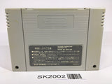 SK2002 Chou Makaimura Super Ghouls 'n Ghosts SNES Super Famicom Japan