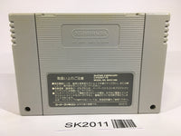 SK2011 Neugier Umi to Kaze no Kodou SNES Super Famicom Japan
