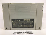 SK2029 Darius Force Super Nova SNES Super Famicom Japan