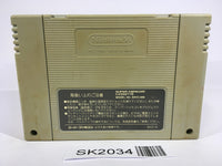 SK2034 The Great Battle Gaiden 2 SNES Super Famicom Japan