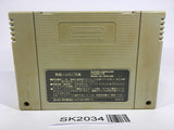 SK2034 The Great Battle Gaiden 2 SNES Super Famicom Japan