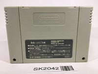 SK2042 The Great Battle 4 SNES Super Famicom Japan