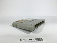 SK2042 The Great Battle 4 SNES Super Famicom Japan
