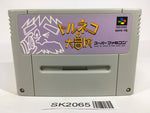 SK2065 Torneco no Daibouken Fushigi no Dungeon SNES Super Famicom Japan