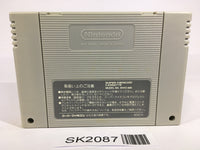 SK2087 F Zero SNES Super Famicom Japan