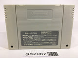 SK2087 F Zero SNES Super Famicom Japan