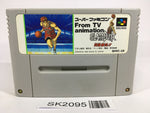 SK2095 From TV Animation Slam Dunk SNES Super Famicom Japan