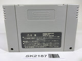 SK2187 Treasure of the Rudras Rudra no Hihou SNES Super Famicom Japan
