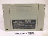 SK2263 Super Fire Pro Wrestling Queen's Special SNES Super Famicom Japan