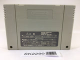 SK2290 Super Donkey Kong Country 3 SNES Super Famicom Japan