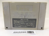 SK2295 Street Fighter II 2 SNES Super Famicom Japan