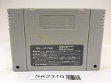 SK2310 Raiden Densetsu SNES Super Famicom Japan