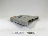 SK2310 Raiden Densetsu SNES Super Famicom Japan