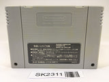 SK2311 Raiden Densetsu SNES Super Famicom Japan
