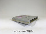 SK2340 Magic Sword SNES Super Famicom Japan