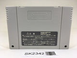 SK2342 Record of Lodoss War Lodoss Tou Senki SNES Super Famicom Japan