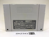 SK2343 Gaia Gensouki Illusion of Gaia Time SNES Super Famicom Japan