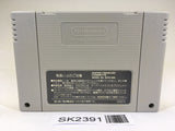 SK2391 Tetris 2 Flash SNES Super Famicom Japan