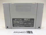 SK2403 Cool Spot SNES Super Famicom Japan