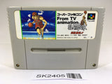 SK2405 From TV Animation Slam Dunk SNES Super Famicom Japan