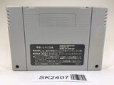 SK2407 Super Dunk Star Basketball SNES Super Famicom Japan
