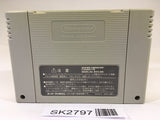 SK2797 Super Donkey Kong Country 3 SNES Super Famicom Japan