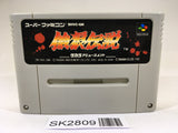SK2809 Fatal Fury SNES Super Famicom Japan