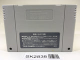 SK2838 ActRaiser SNES Super Famicom Japan