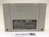SK2843 Super Valis Akaki Tsuki no Otome SNES Super Famicom Japan