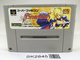 SK2845 Brandish SNES Super Famicom Japan