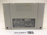 SK2867 Spindizzy Worlds SNES Super Famicom Japan