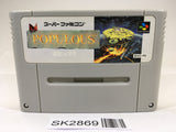 SK2869 Populous SNES Super Famicom Japan