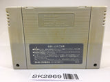 SK2869 Populous SNES Super Famicom Japan