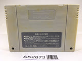 SK2873 Super Robot Wars Taisen EX SNES Super Famicom Japan