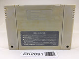 SK2891 Kirby Bowl Kirby's Dream Course SNES Super Famicom Japan