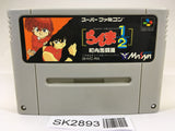 SK2893 Ranma 1/2 Chounai Gekitou Hen SNES Super Famicom Japan